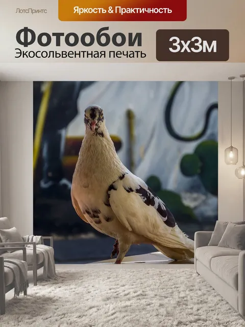 Фотообои Птица
