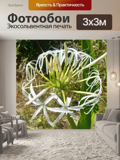 Фотообои Цветет
