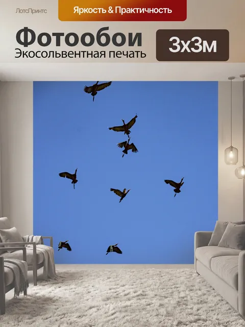 Фотообои Ибис птицы