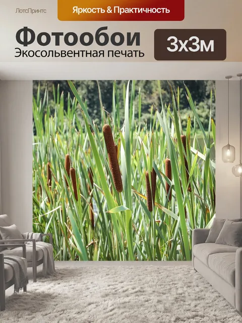 Фотообои Палка