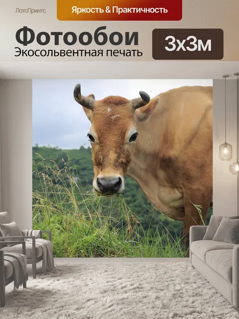 Фотообои Корова