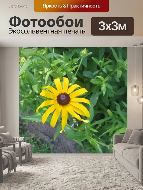 Фотообои Черный глаз Сьюзан