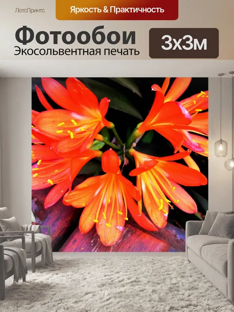 Фотообои Кливия miniata