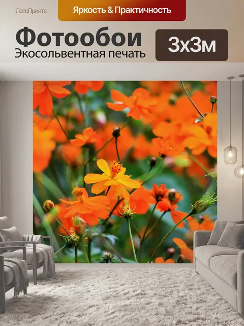 Фотообои желтые космос среди оранжевого цветов