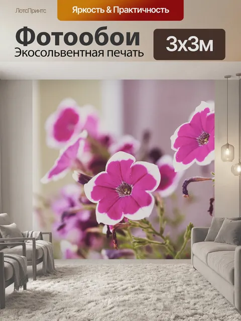 Фотообои Пеларгония