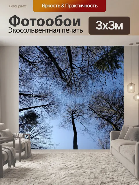 Фотообои Лес