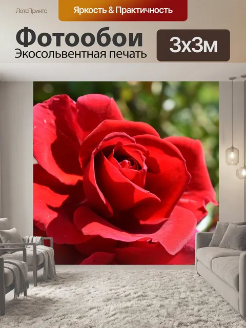 Фотообои Красный