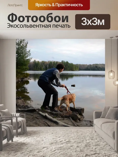 Фотообои Собака и владелец видом на пляж