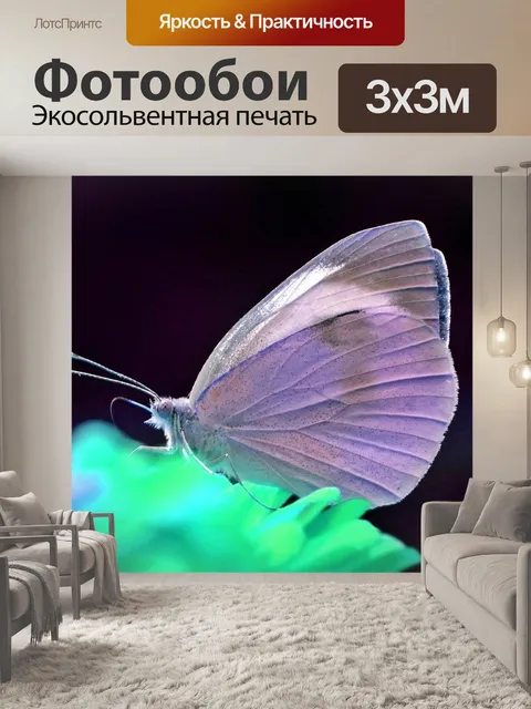 Фотообои Бабочка дневной