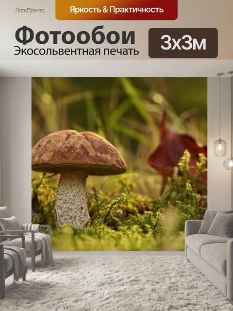 Фотообои Грибы съедобные лесные