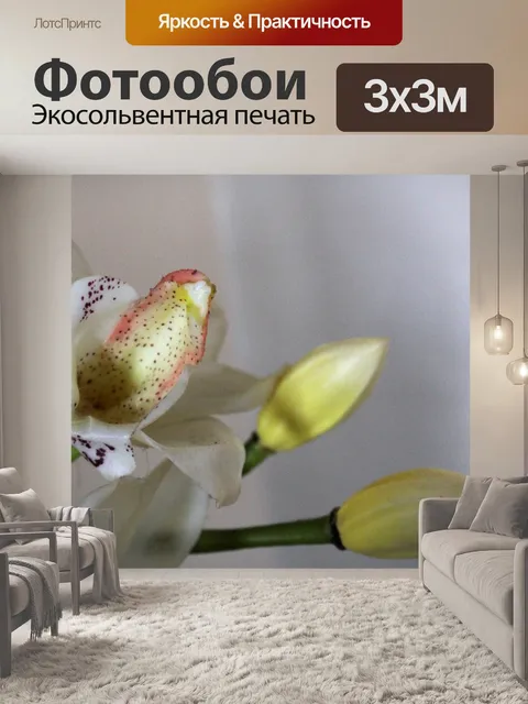 Фотообои Белая орхидея 2