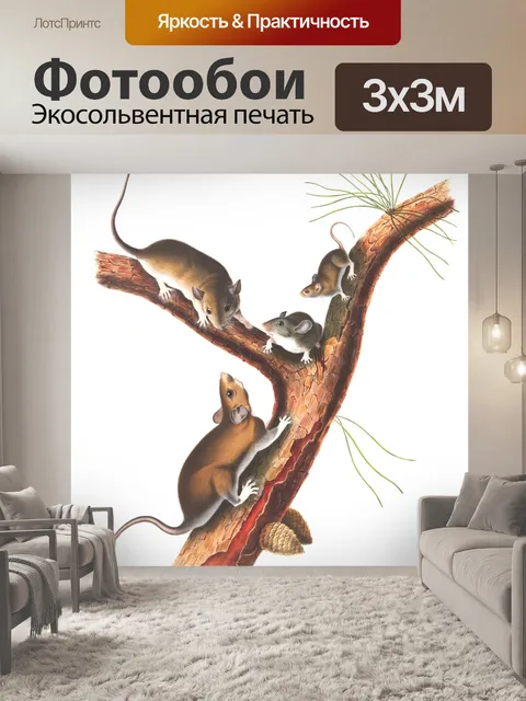 Фотообои Мышь крыса винтажное искусство
