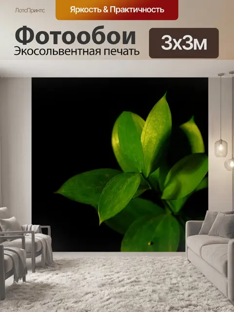 Фотообои Зеленые листья