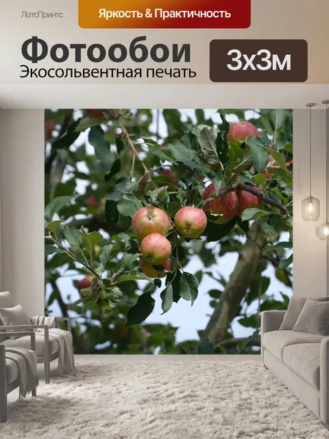 Фотообои Яблоки на дереве