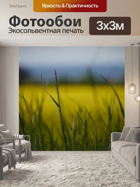 Фотообои Поле рапса