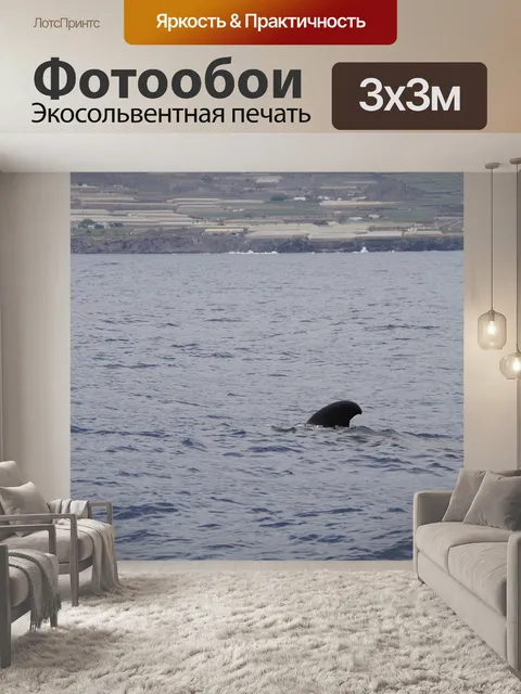 Фотообои Кит-пилот
