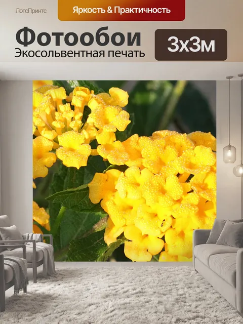 Фотообои Желтые цветы и роса Лантаны