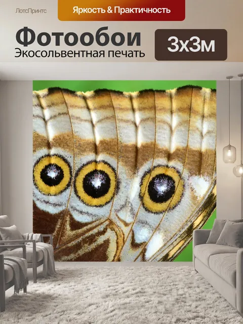 Фотообои Голубая бабочка морфо