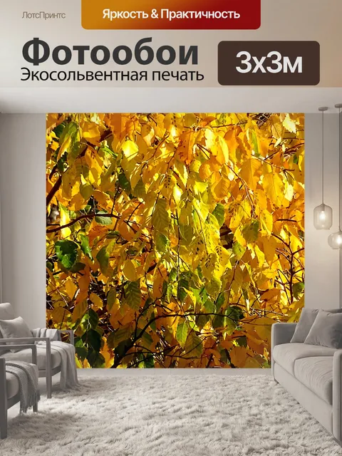 Фотообои Осень Листья Дерева