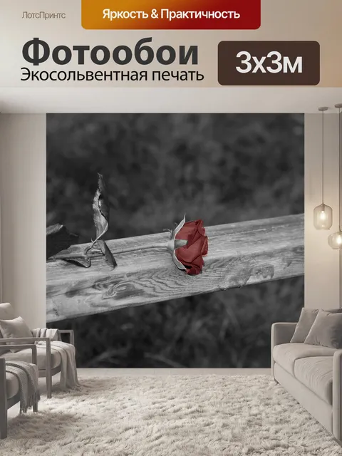 Фотообои Роза