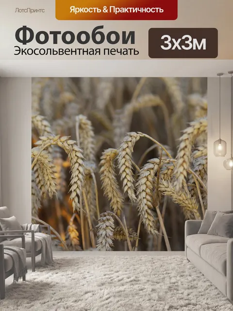 Фотообои Рожь пшеничная урожая ячменя