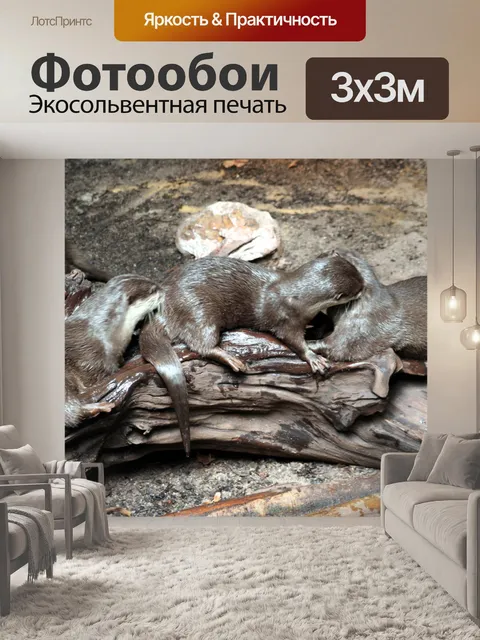 Фотообои Блеклая выдра