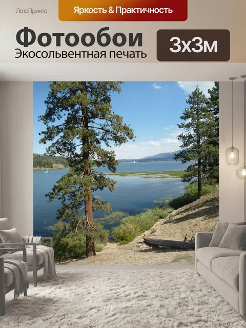 Фотообои Большой медведь