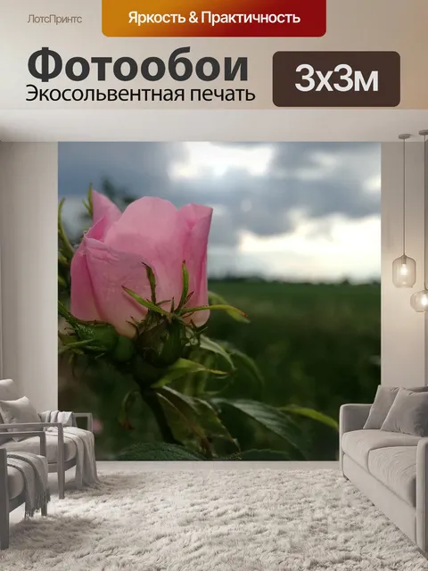 Фотообои Природа