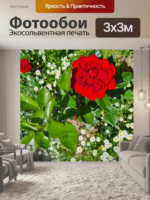 Фотообои Красная роза с ромашками