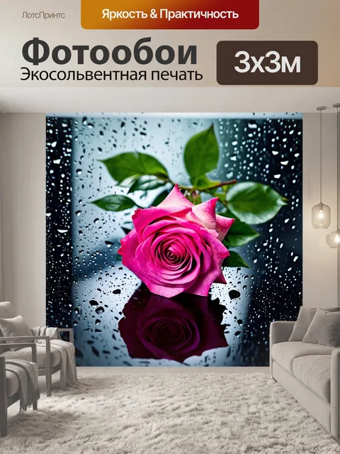 Фотообои розовая роза, окруженная каплями дождя на стеклянной поверхности