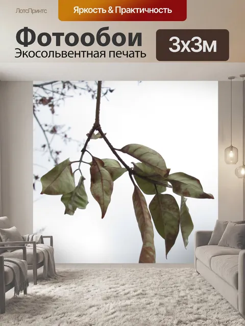 Фотообои Осень