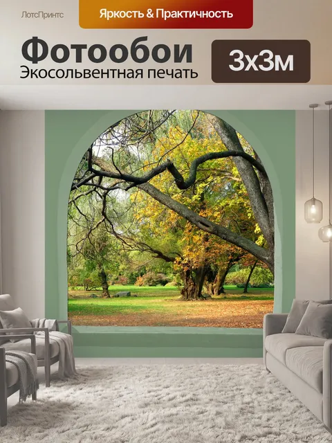 Фотообои Окно окна дерева просмотра