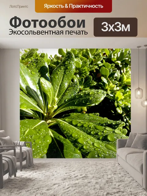 Фотообои Капли на листьях