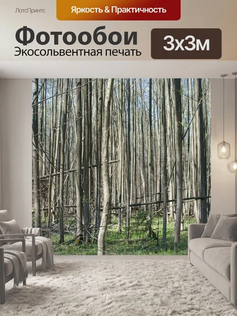 Фотообои Лес
