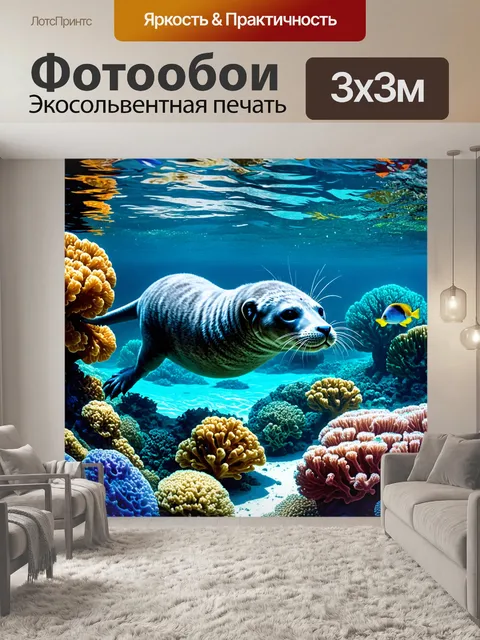 Фотообои серый тюлень исследует подводный мир среди красочных кораллов и тропических рыб