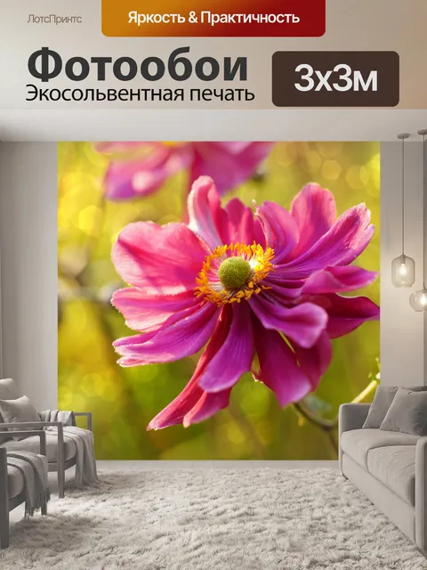 Фотообои Цветут цветы садовые цветы