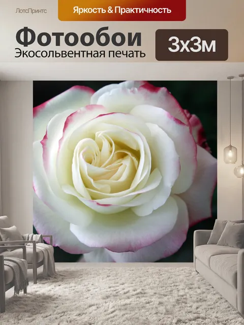 Фотообои Роза