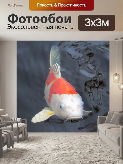 Фотообои Koi