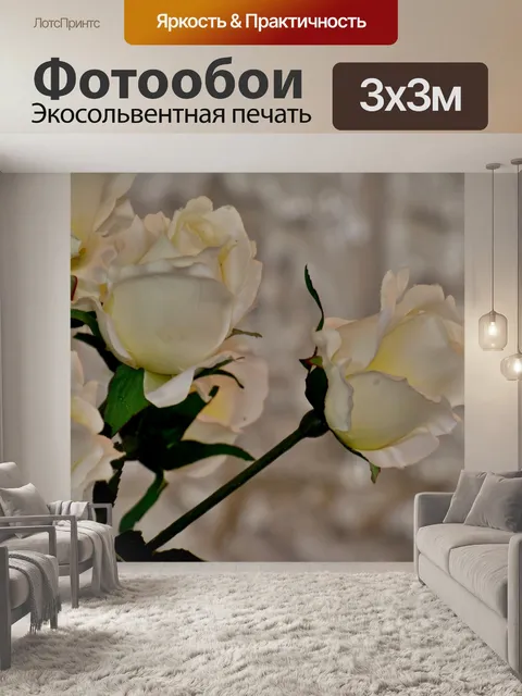 Фотообои Роза