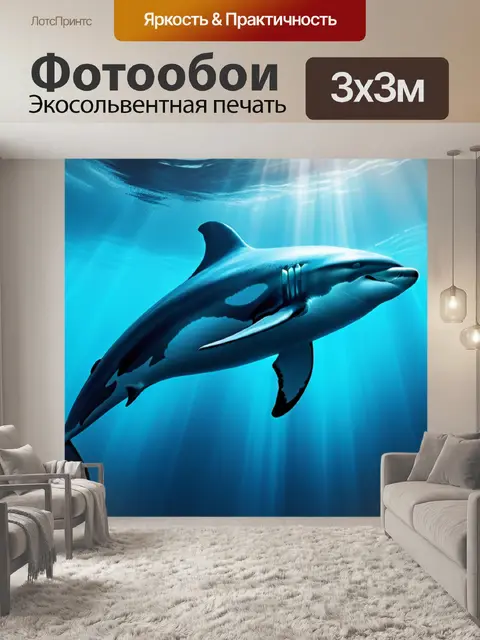 Фотообои с дельфинами