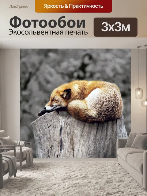 Фотообои Лиса