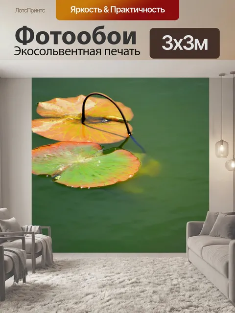Фотообои Lily Pad