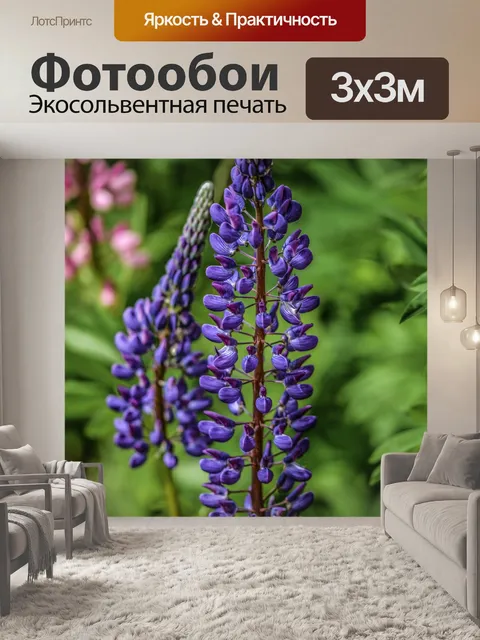 Фотообои Люпин цветок