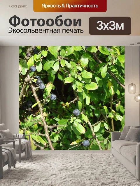 Фотообои Терновник