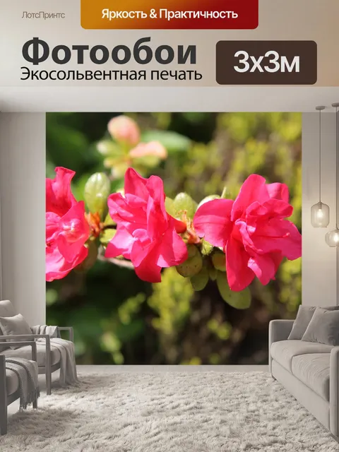 Фотообои Азалия