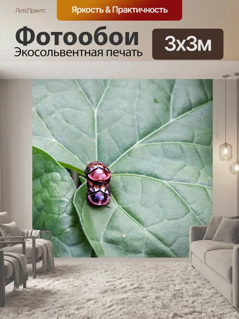 Фотообои блестящие красные пятнистые черепахи