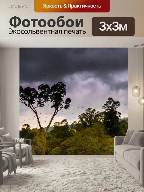 Фотообои Джунгли