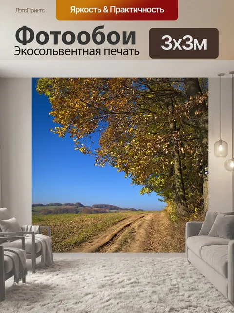 Фотообои Путь