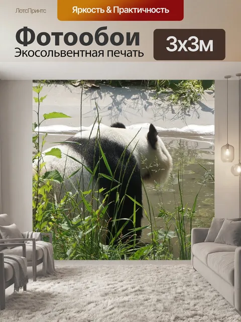 Фотообои Панда