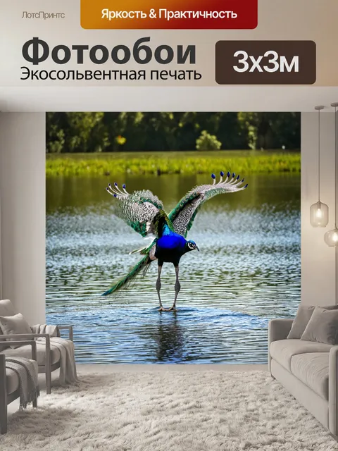 Фотообои с павлинами, парящими в воздухе над спокойным озером, отражающим солнечный свет и пурпурные оттенки их перьев